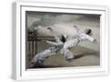 White Frame