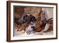 Brown Frame