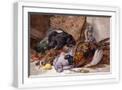 White Frame