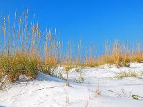 White Sand Dunes along Florida's Gulf Coast-James Kirkikis-Mounted Photographic Print