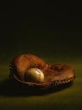 Glove and Baseball-James L. Amos-Framed Photographic Print