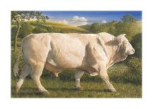 Longhorn Cow And Calf-James Lynch-Premium Giclee Print