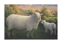 Ewe And Lamb-James Lynch-Premium Giclee Print