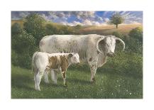 Longhorn Cow And Calf-James Lynch-Premium Giclee Print