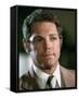 James MacArthur - Hawaii Five-O-null-Framed Stretched Canvas