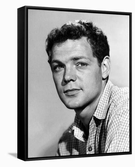 James MacArthur-null-Framed Stretched Canvas