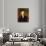 James Madison, 1835 after the Original by Gilbert Stuart-Asher Brown Durand-Giclee Print displayed on a wall