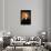 James Madison-Chester Harding-Art Print displayed on a wall