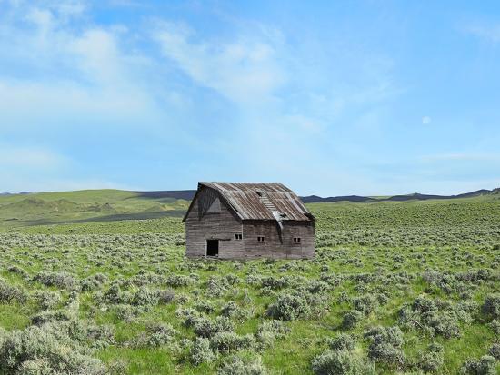Photographic Print, , large