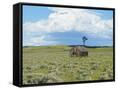 Canvas Black