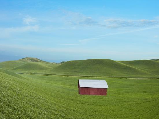 Photographic Print, , large
