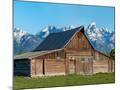 Wood Mount