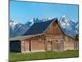 Wood Mount