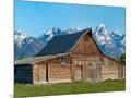 Wood Mount