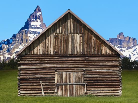 Premium Photographic Print, , large