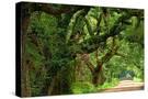 Stretched Canvas