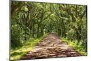 Wood Mount
