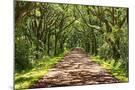 Wood Mount
