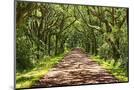 Wood Mount