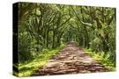Stretched Canvas