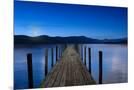 Wood Mount