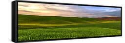 Canvas Black