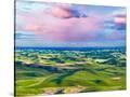 Stretched Canvas