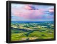 Essential Black