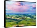 Canvas Black