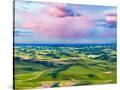 Stretched Canvas