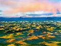 Just the Print