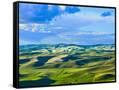 Canvas Black