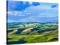 Stretched Canvas