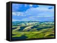 Canvas Black