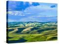 Stretched Canvas