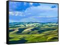 Canvas Black