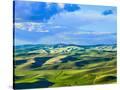 Stretched Canvas