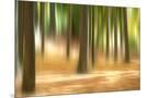 Wood Mount