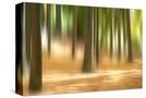 Stretched Canvas