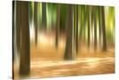 Stretched Canvas