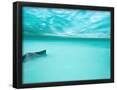 Essential Black