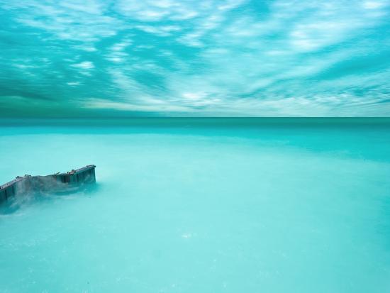 Photographic Print, , large