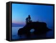 Canvas Black