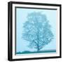 Black Frame