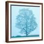 Brown Frame