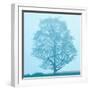 White Frame