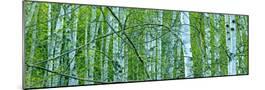 Wood Mount