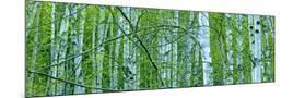 Wood Mount