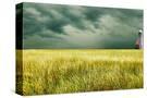 Stretched Canvas