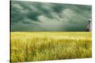Stretched Canvas